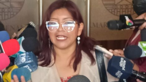 La senadora del MAS, Elena Aguilar, critica a Luis Arce por contradicciones en Potosí
