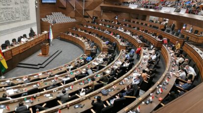 Ley del oro aprobada en la Cámara de Diputados