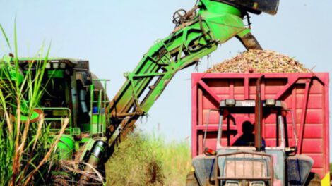 Deuda de YPFB afecta al sector cañero
