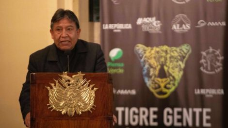 Largometraje Tigre Gente sobre tráfico ilegal de jaguares