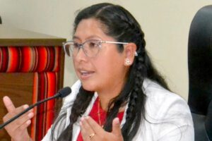 Economía de Bolivia según Eva Copa
