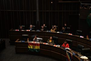 Ley del Oro en el Senado de Bolivia