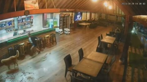 Secuestro en Cochabamba: Exigen un millón de dólares por liberación