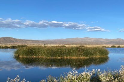 Lago Uru Uru vuelve a la vida como una laguna