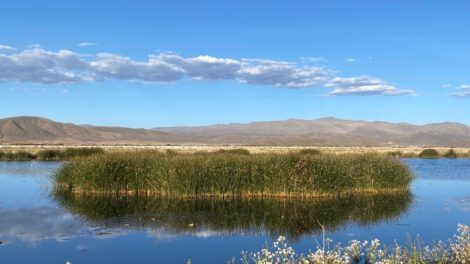 Lago Uru Uru vuelve a la vida como una laguna