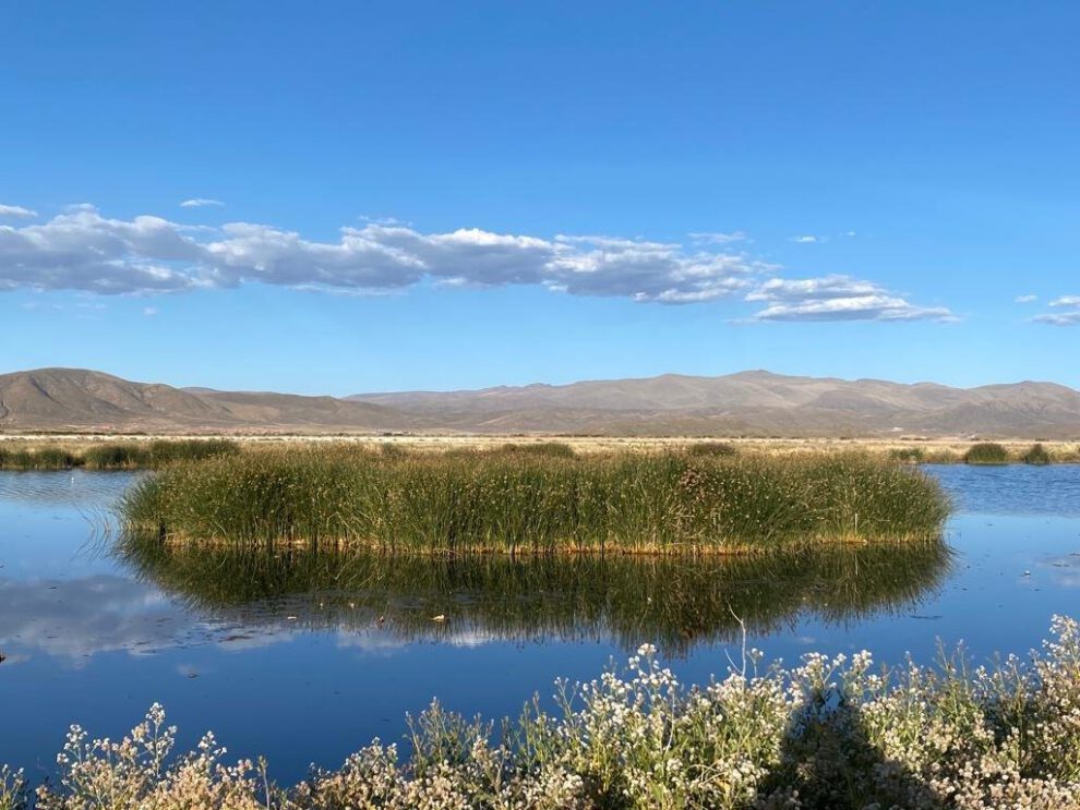 Lago Uru Uru vuelve a la vida como una laguna