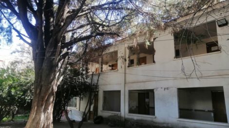 traslado del Hospital General y los 12 árboles comprometidos