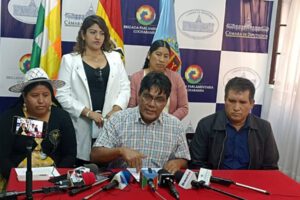 El diputado Héctor Arce discute sobre las elecciones judiciales