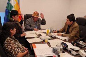 Ley del Oro en la Comisión de Planificación del Senado