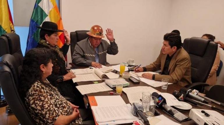 Ley del Oro en la Comisión de Planificación del Senado