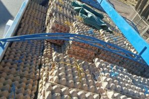Contrabando de huevos incautados en la frontera con Perú