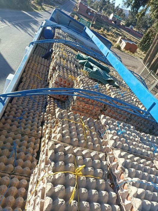 Contrabando de huevos incautados en la frontera con Perú