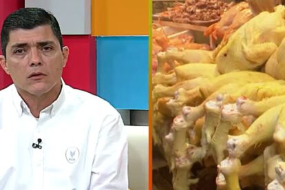 Carencia de huevo en mercados según Omar Castro