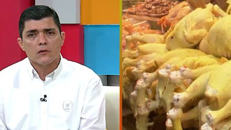 Carencia de huevo en mercados según Omar Castro