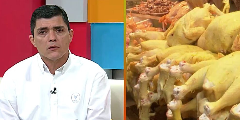 Carencia de huevo en mercados según Omar Castro