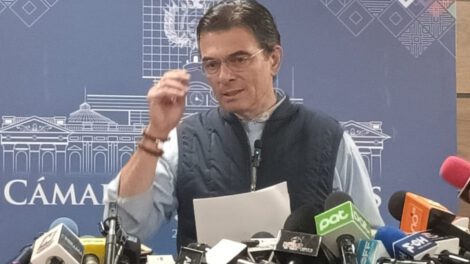 Recurso de inconstitucionalidad presentado por Rodrigo Paz