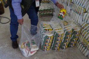 Yodación de sal y su importancia para la salud pública