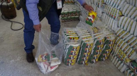 Yodación de sal y su importancia para la salud pública