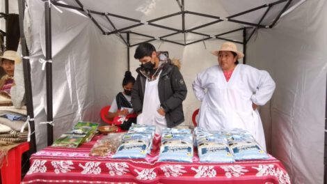 Producción camélida de Oruro