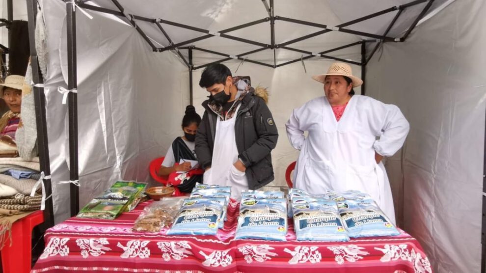 Producción camélida de Oruro