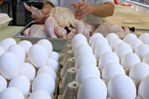 Escasez de huevo en Bolivia afecta a los bolivianos