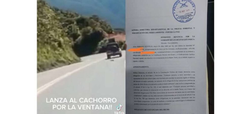 Denuncia contra conductor que arrojó a un can desde su vehículo