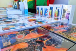 Aduana Pisiga incauta mercancía ilegal valorada en 450 mil bolivianos