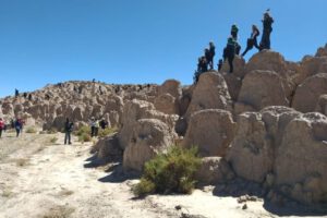 Potencial turístico ganadero en Challapata