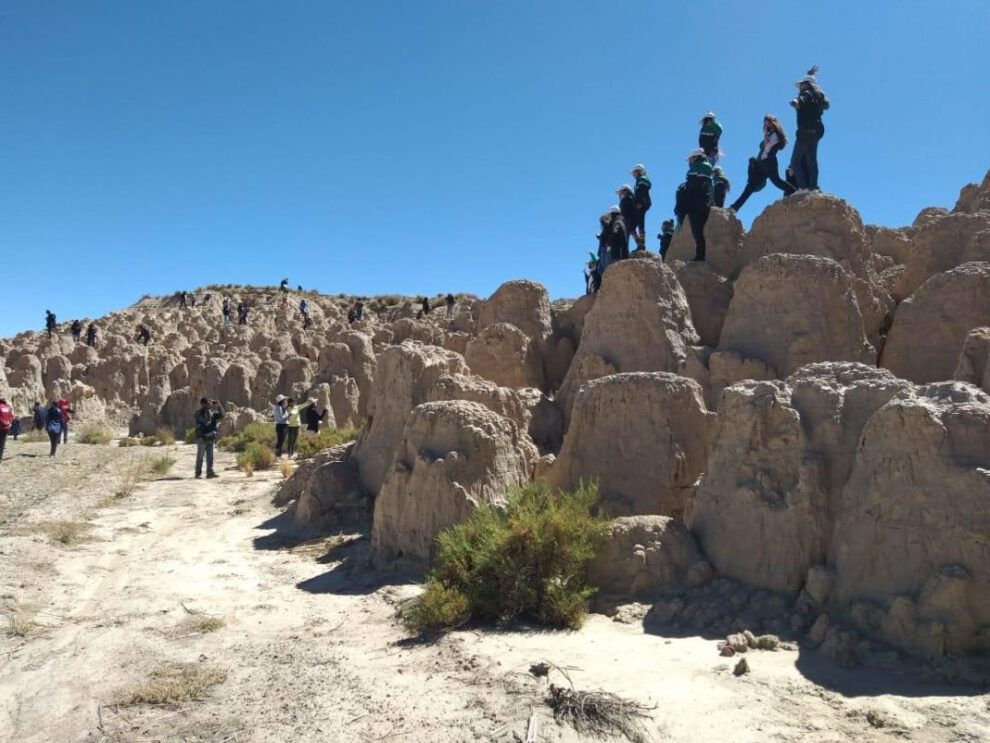 Potencial turístico ganadero en Challapata