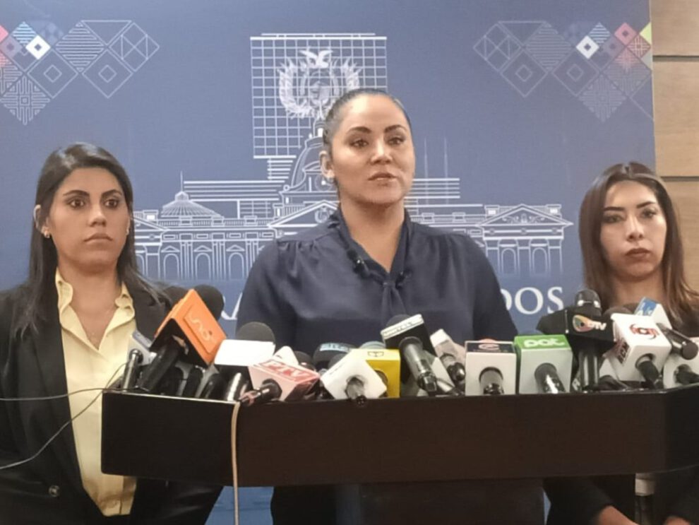 La diputada de Comunidad Ciudadana, Samantha Nogales, informa sobre el Proyecto de Ley de Asistencia Familiar