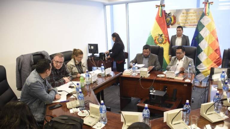 Ley imprescriptible delitos contra menores en Bolivia
