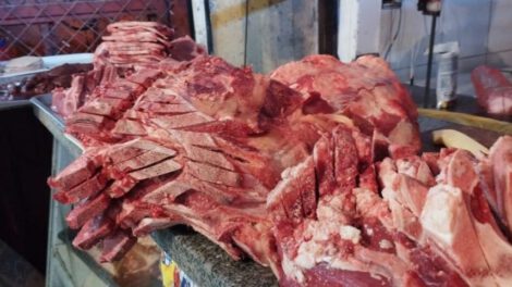 Prohibición de venta de carne de burro según Senasag Oruro