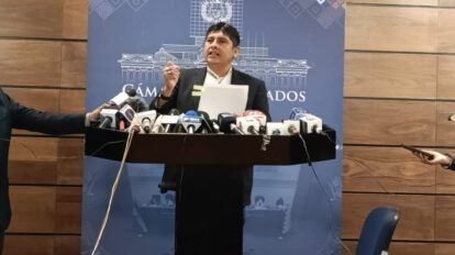 renovar directiva del MAS