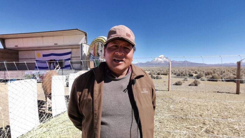 Hidroponía como alternativa para garantizar forraje en Oruro