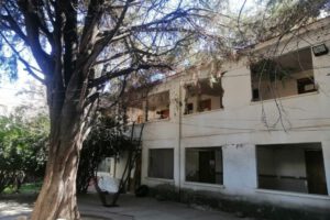 Conflicto por árboles hospital en Oruro