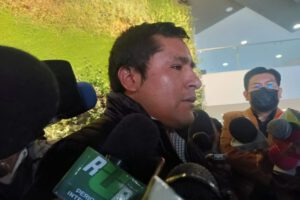 Ley 363 elecciones judiciales garantizadas por Israel Huaytari