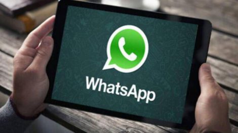 WhatsApp pantalla compartida en videollamadas