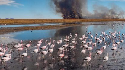 Quemas y asentamientos ilegales amenazan al lago Uru Uru