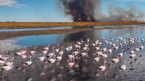 Quemas y asentamientos ilegales amenazan al lago Uru Uru