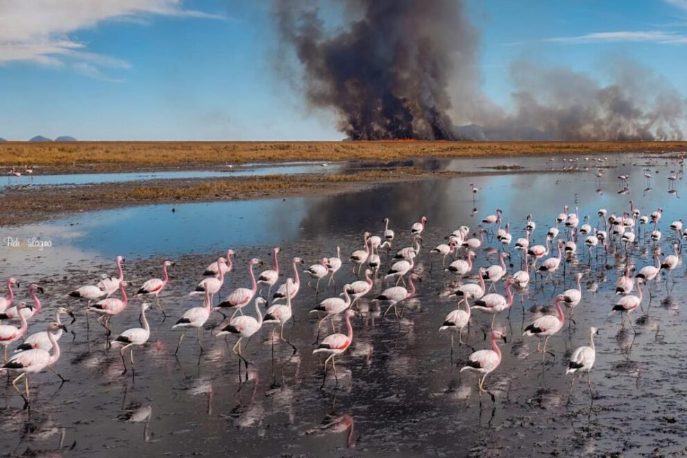Quemas y asentamientos ilegales amenazan al lago Uru Uru