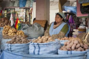 Ciudadana boliviana vendiendo sus productos en un mercado tradicional