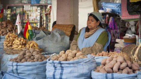 Ciudadana boliviana vendiendo sus productos en un mercado tradicional