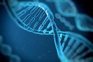 Imagen microscópica del ADN relacionado con la sucralosa y daño al ADN