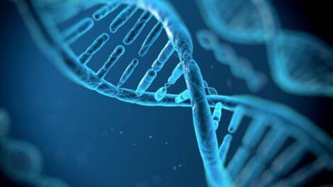 Imagen microscópica del ADN relacionado con la sucralosa y daño al ADN