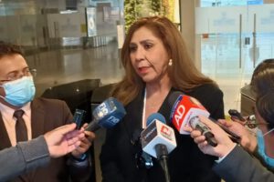 Reglamentación elecciones judiciales por la senadora Patria Arce