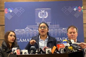 Interpelación a Del Castillo por casos actuales según Lisa Claros