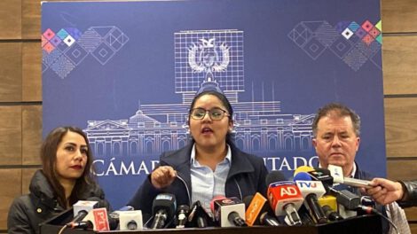 Interpelación a Del Castillo por casos actuales según Lisa Claros