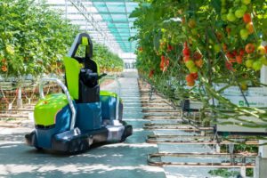 Robot recolector de tomates con IA