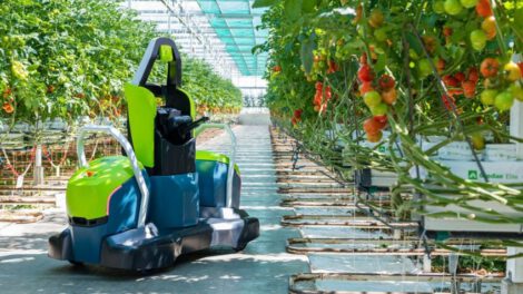 Robot recolector de tomates con IA