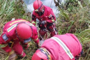 Accidente en La Paz: Estudiantes de El Alto mueren en precipicio